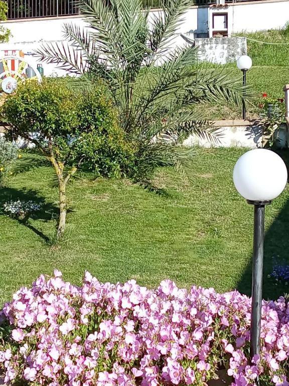 B&B Stella Del Cilento Di Anna Botti Agropoli Ngoại thất bức ảnh